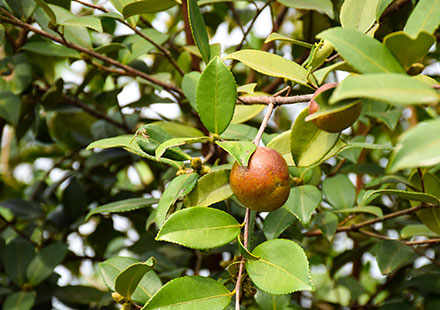 中文字幕精品无码一区二区