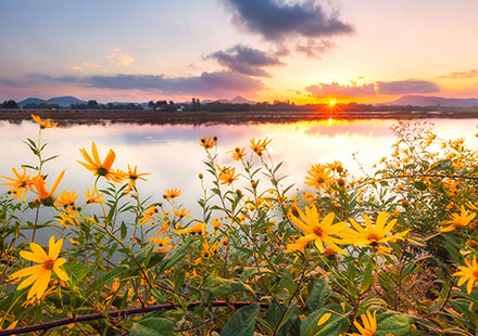 中文字幕精品无码一区二区