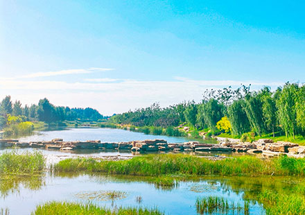 中文字幕精品无码一区二区