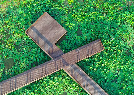 中文字幕精品无码一区二区