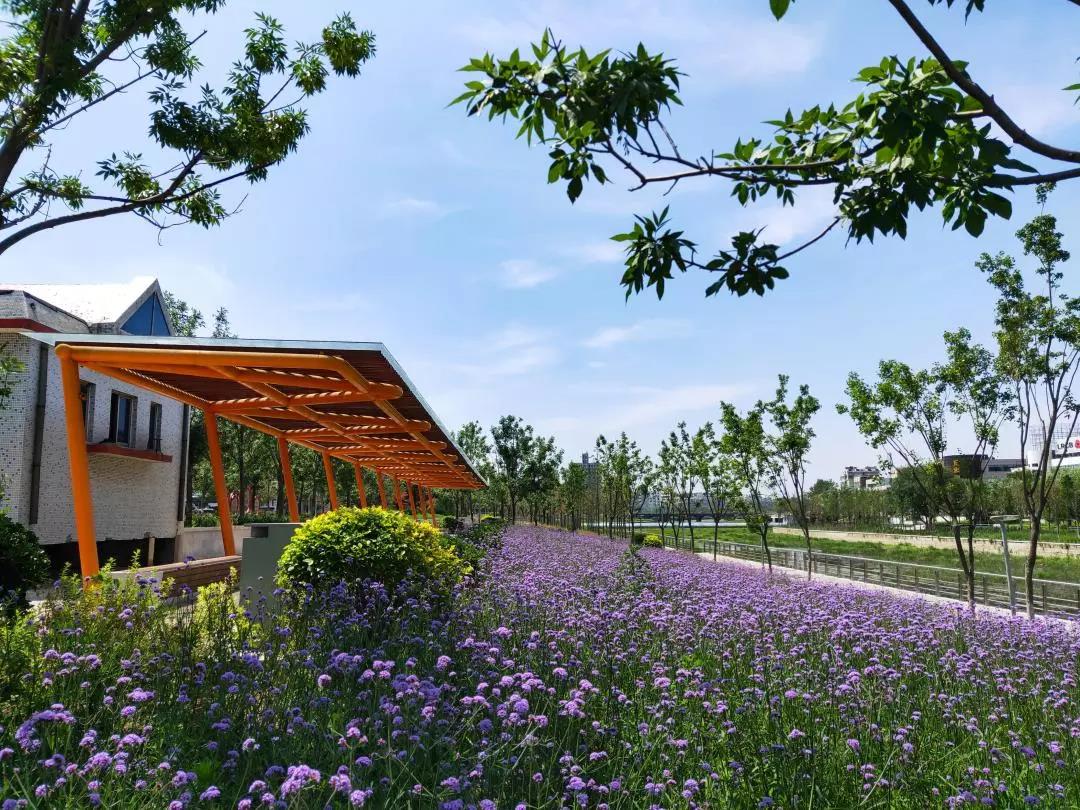 微信图片_20200424154927.jpg 微信图片_20200424154927.jpg