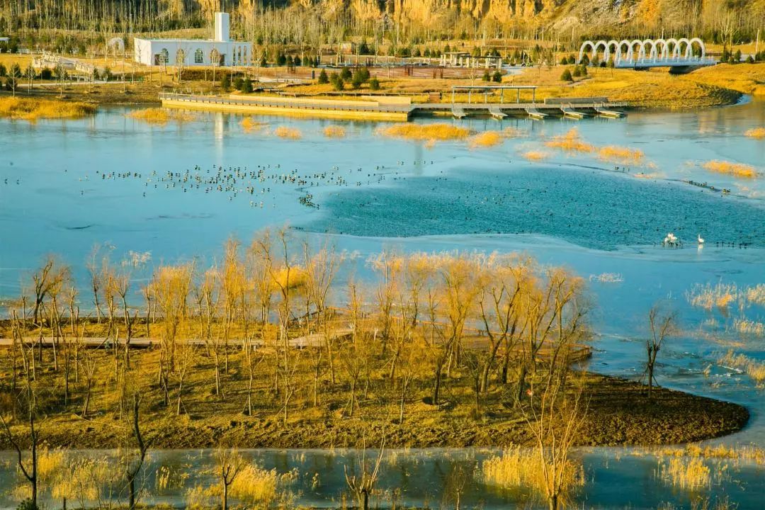 微信图片_20200527102351.jpg 微信图片_20200527102351.jpg