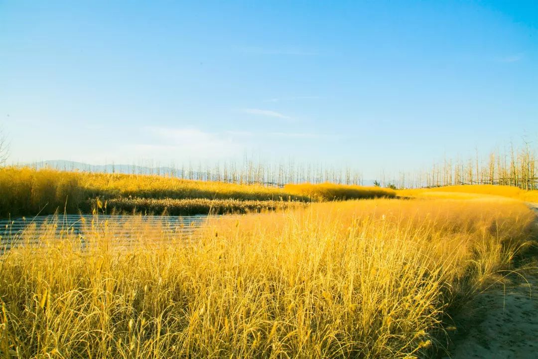 微信图片_20200527102344.jpg 微信图片_20200527102344.jpg