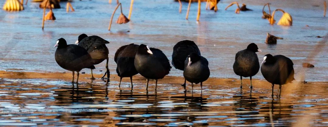 微信图片_20200527102355.jpg 微信图片_20200527102355.jpg