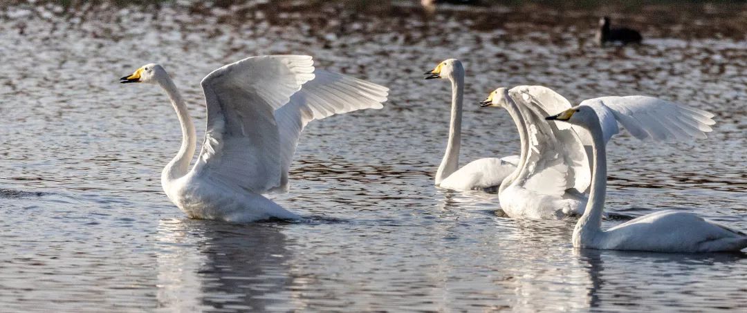 微信图片_20200527102358.jpg 微信图片_20200527102358.jpg