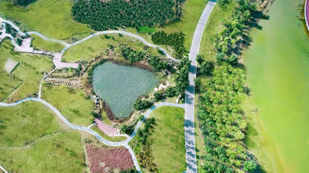 微信图片_20200527102402.jpg 微信图片_20200527102402.jpg