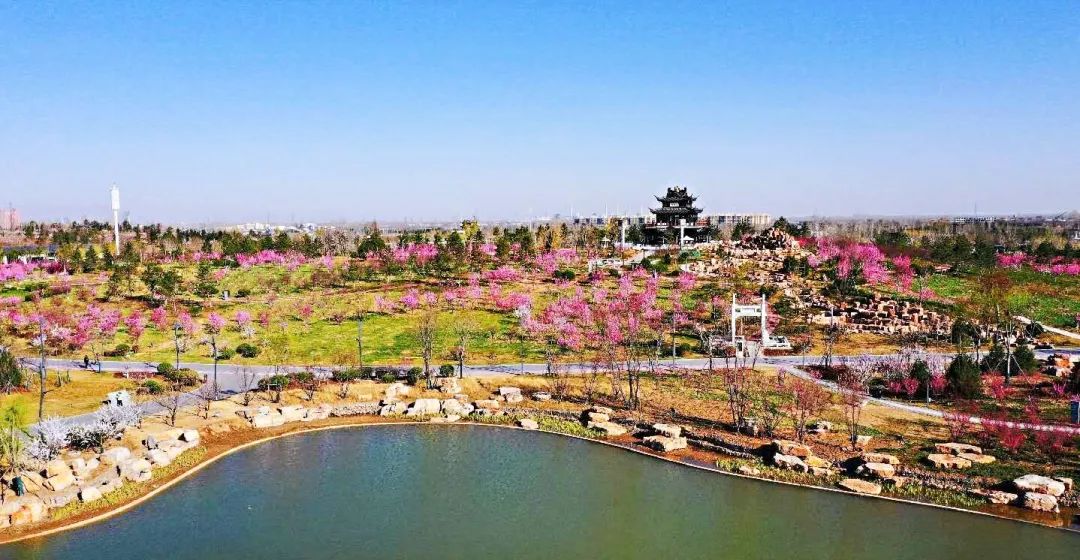 微信图片_20200423145302.jpg 微信图片_20200423145302.jpg