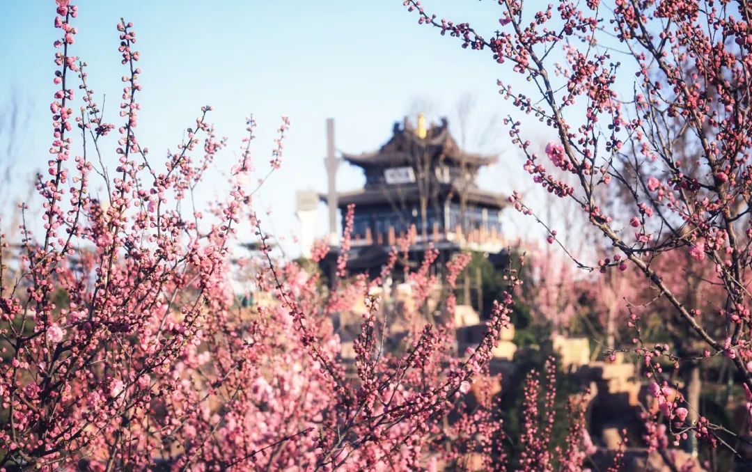 微信图片_20200423145311.jpg 微信图片_20200423145311.jpg