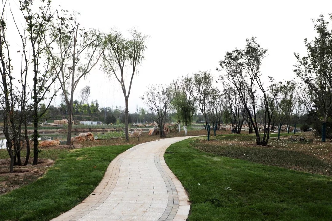 640.webp (6).jpg 640.webp (6).jpg