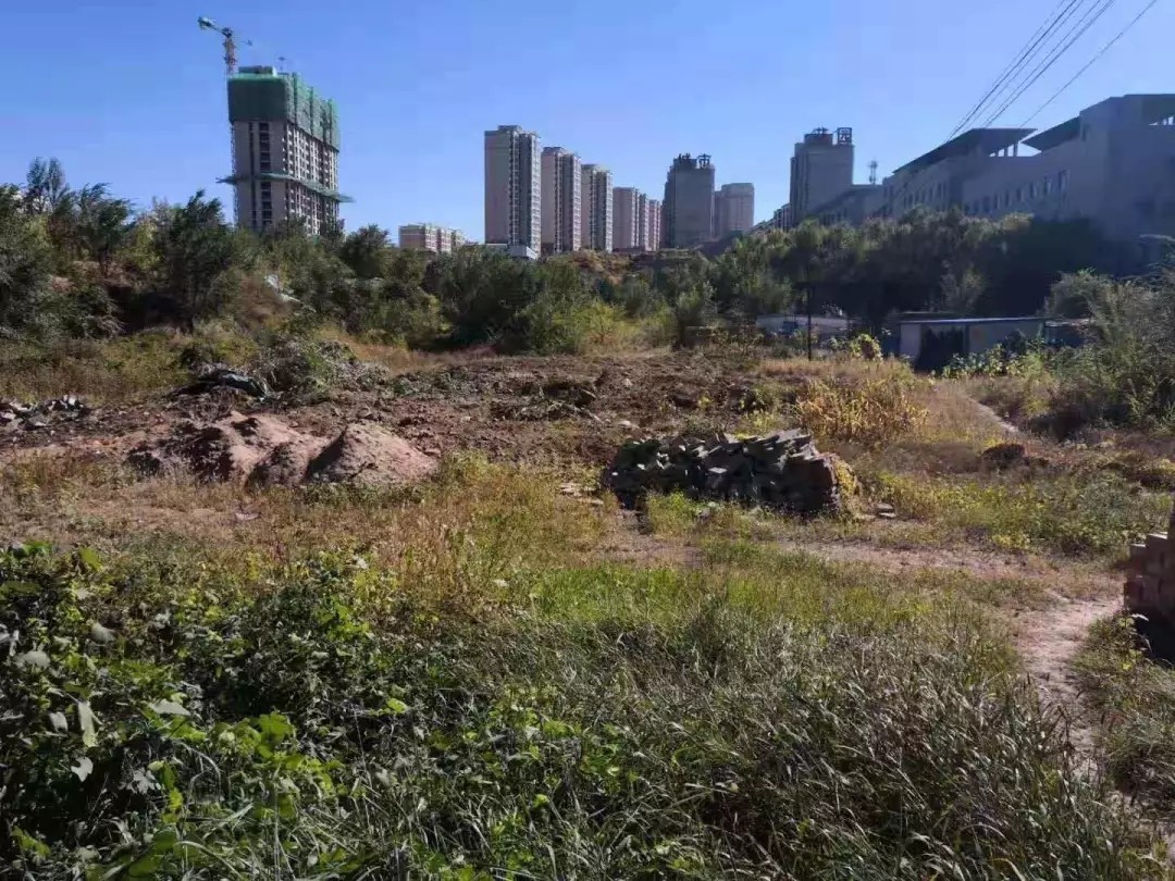 640.webp (1).jpg 640.webp (1).jpg