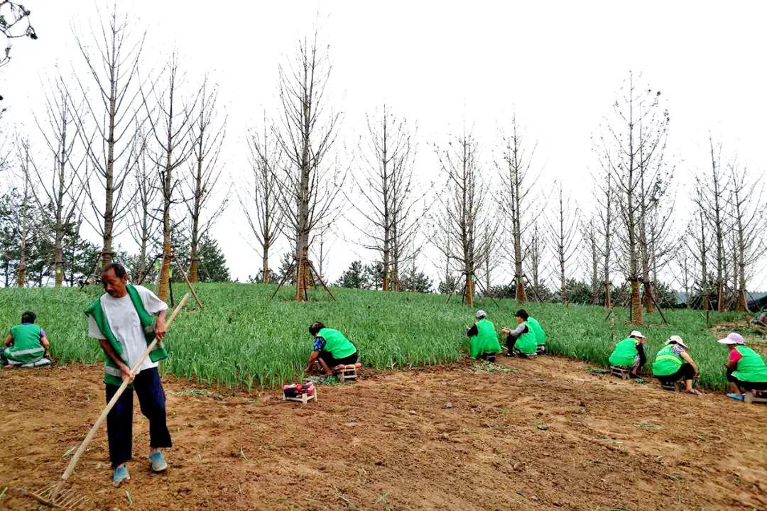 微信图片_20200609104554.jpg 微信图片_20200609104554.jpg