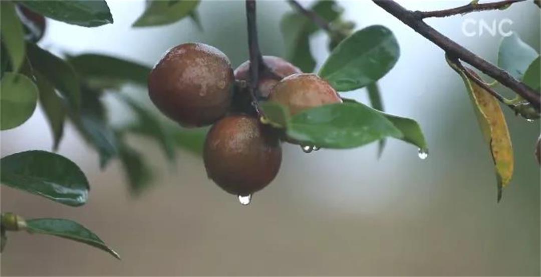 6372643857667978404574385.jpg 6372643857667978404574385.jpg