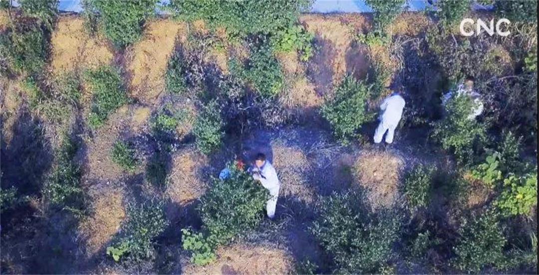 6372643859487920116648161.jpg 6372643859487920116648161.jpg