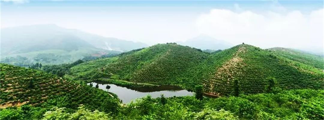 6372643595293452149811451.jpg 6372643595293452149811451.jpg