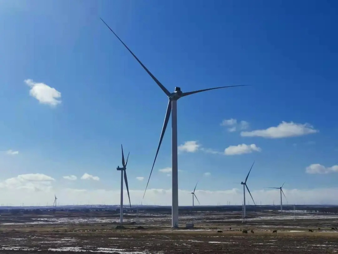 张家口项目1.jpeg 张家口项目1.jpeg