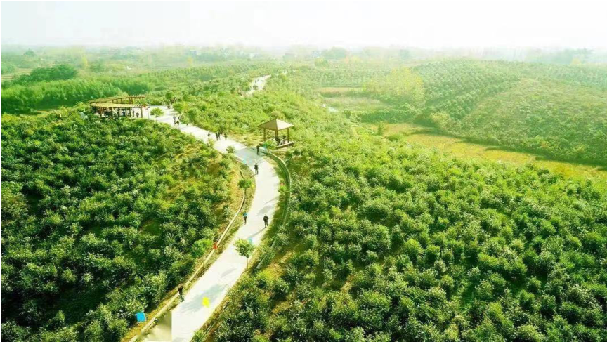 图片 4.png 图片 4.png