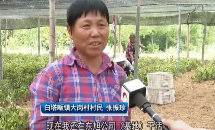 图片 2.png 图片 2.png