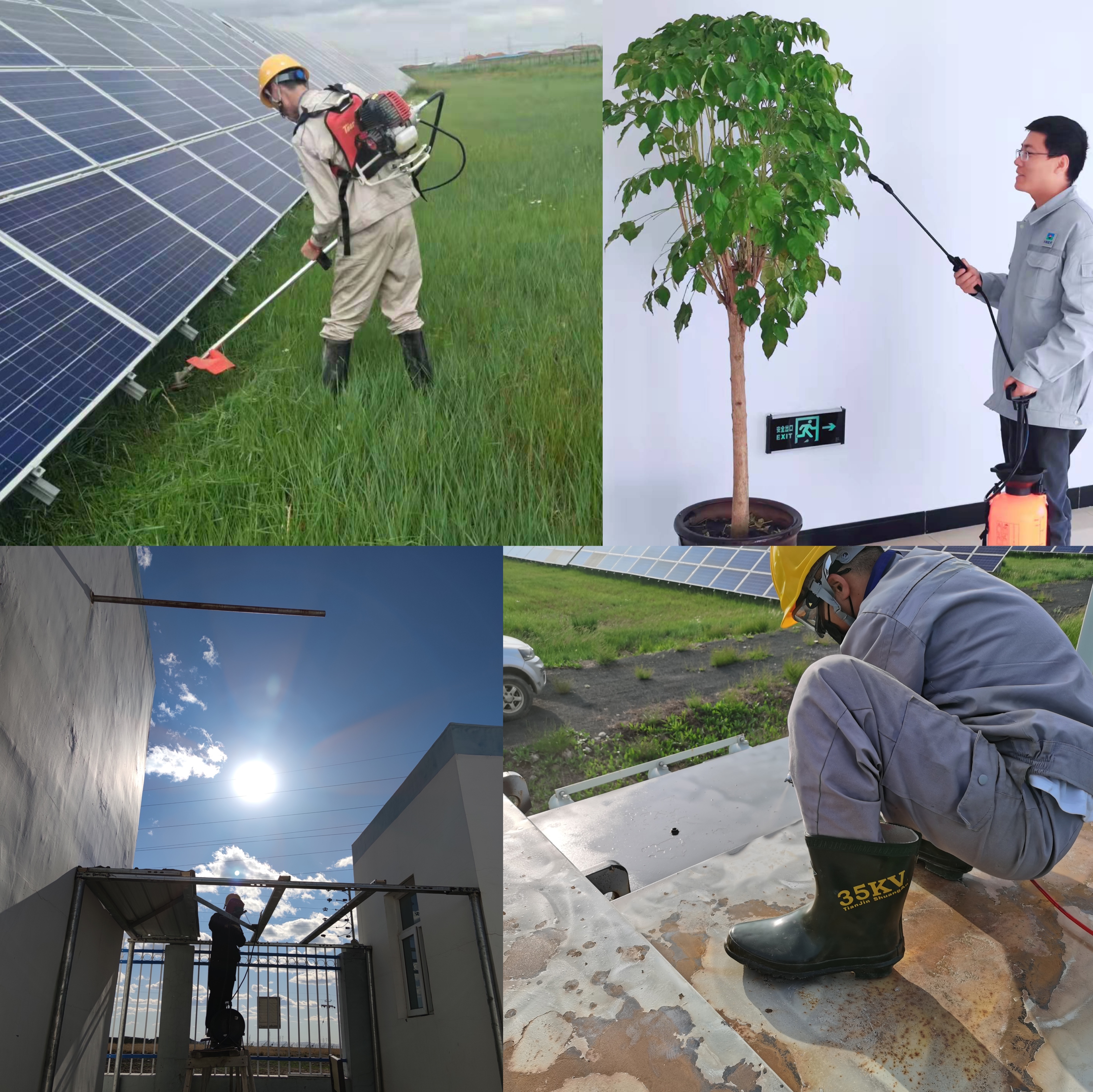 WechatIMG1105.jpeg WechatIMG1105.jpeg