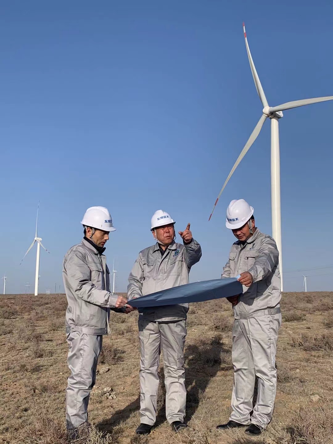 WechatIMG8.jpeg WechatIMG8.jpeg