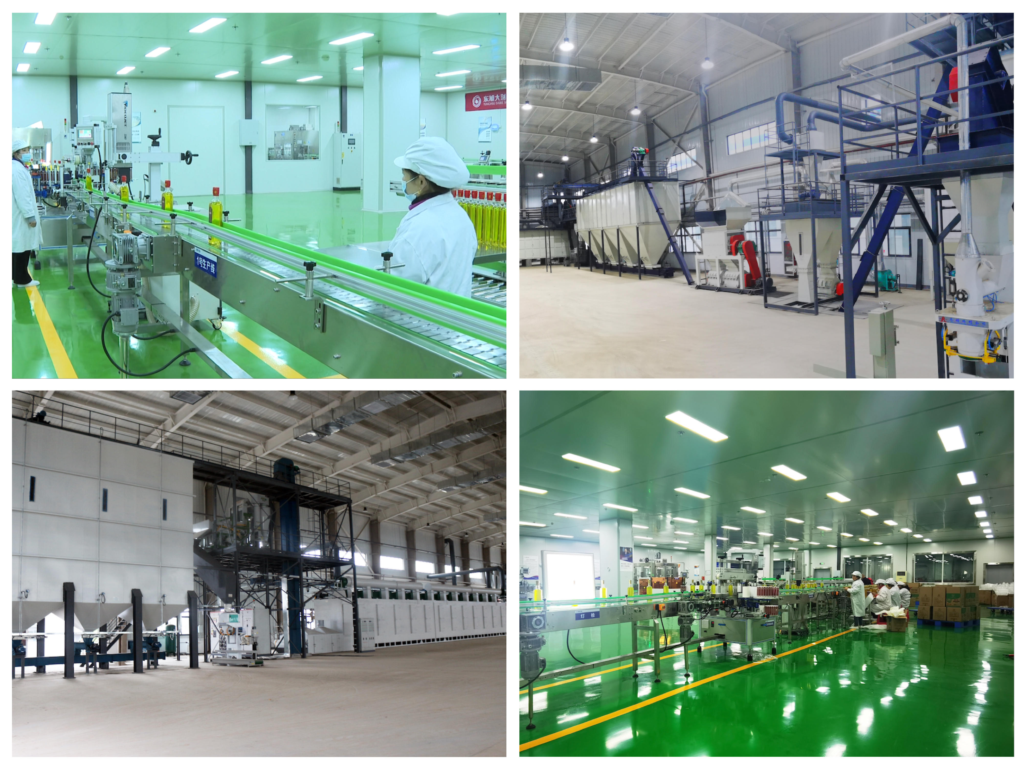 产线图片.jpeg 产线图片.jpeg