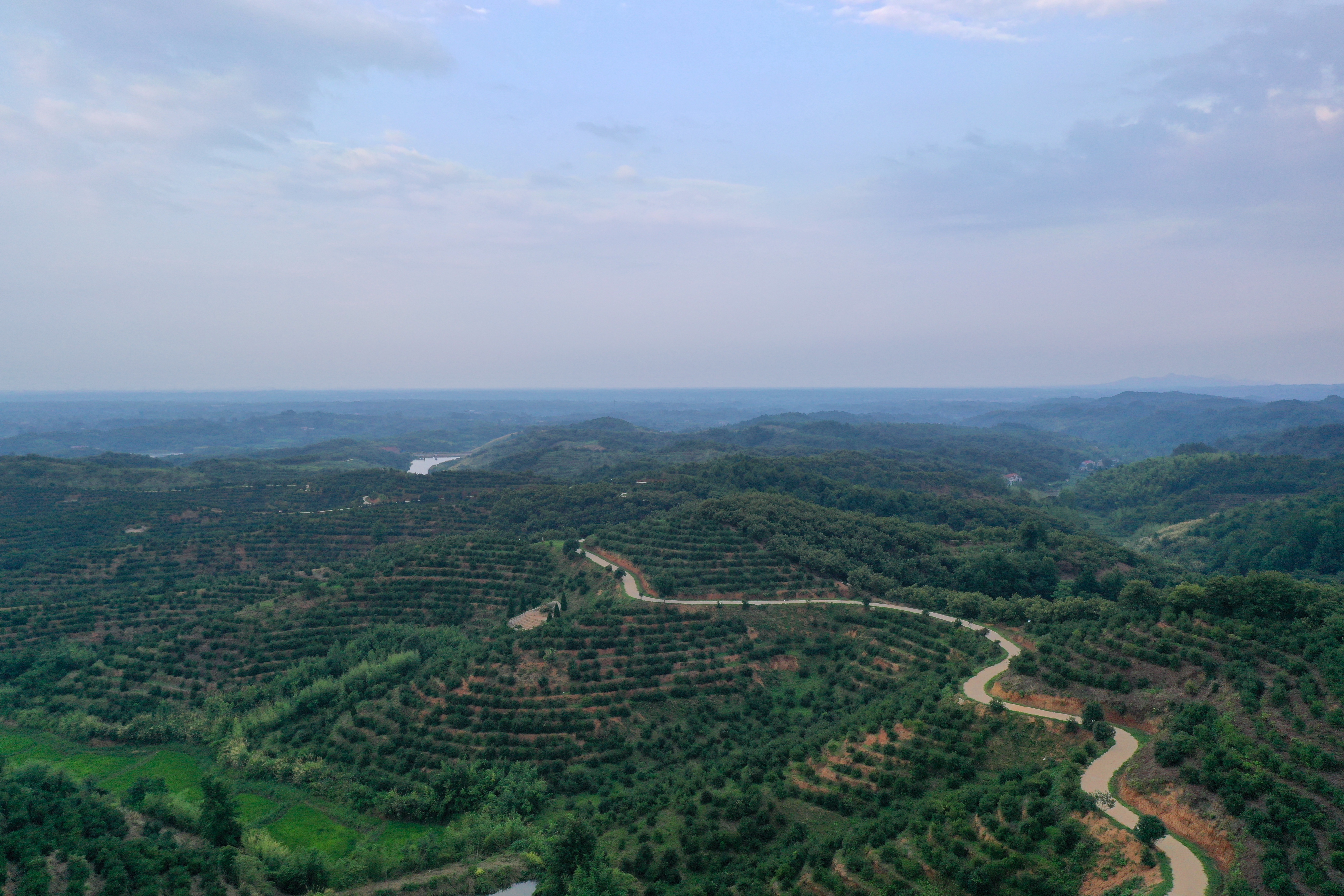 DJI_0021.JPG DJI_0021.JPG