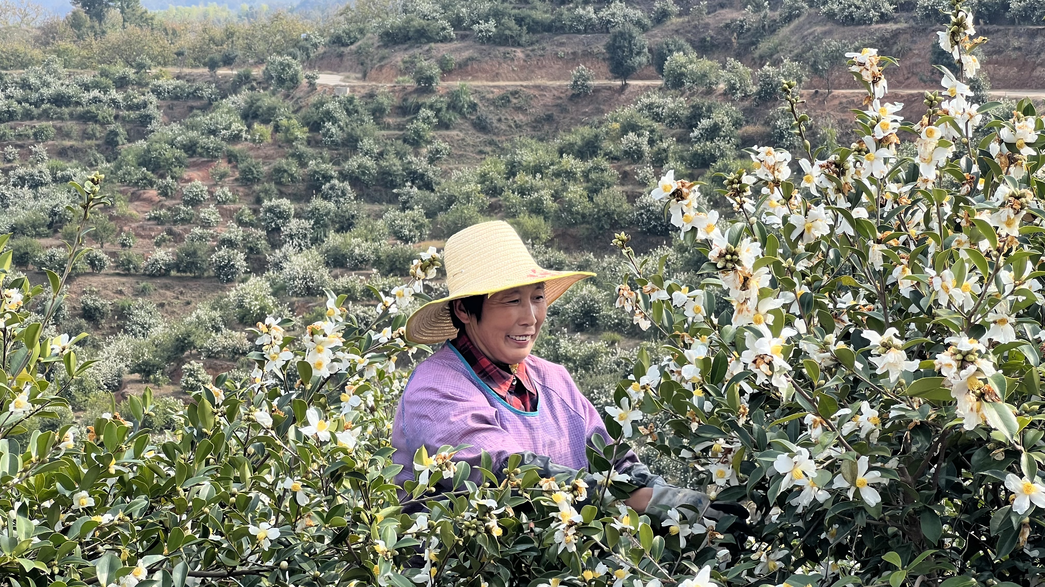 WechatIMG1500.jpeg WechatIMG1500.jpeg