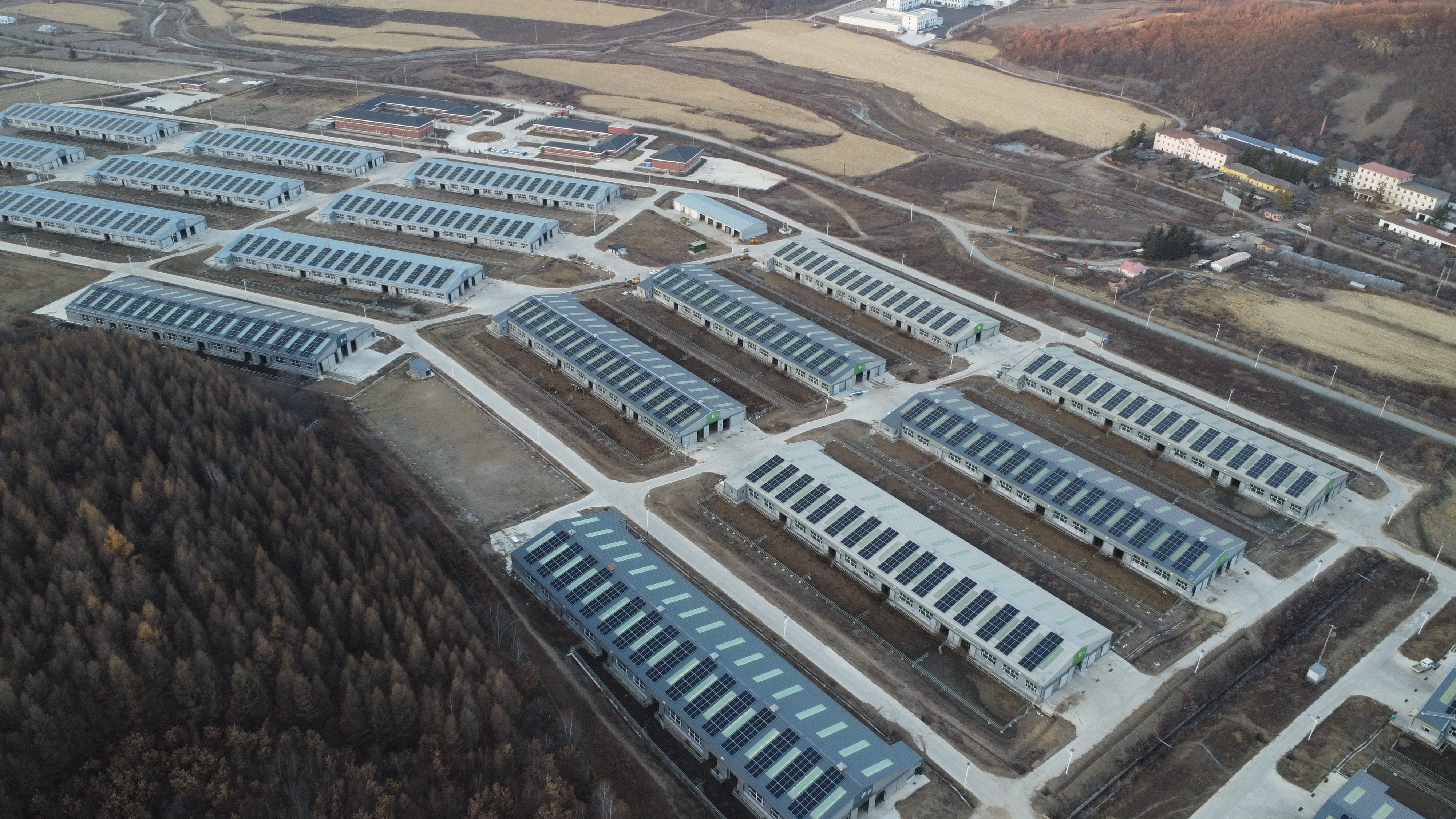 黄牛冷链&吉天然牧业项目.jpeg 黄牛冷链&吉天然牧业项目.jpeg