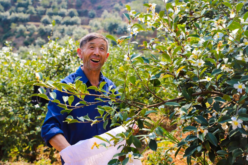 图片9.png 图片9.png