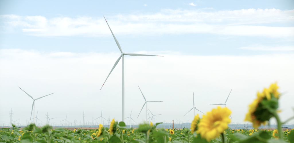 图片22.png 图片22.png