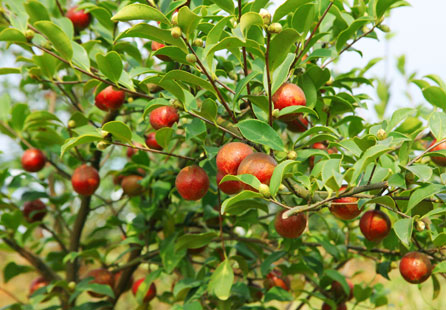 中文字幕精品无码一区二区