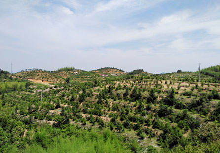 中文字幕精品无码一区二区